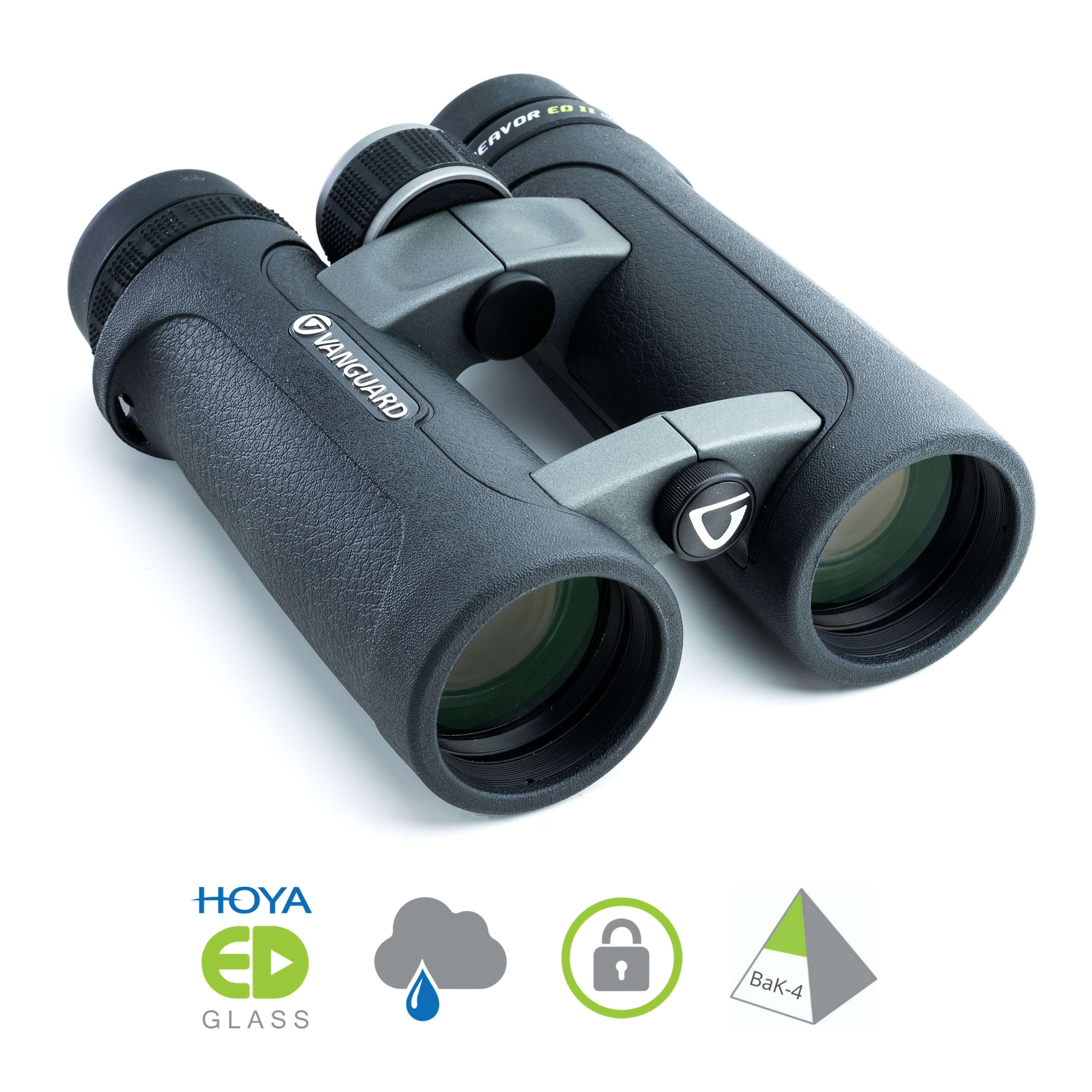 ENDEAVOR ED II 8x42 Binocular with HOYA ED Glass – Vanguard World UK