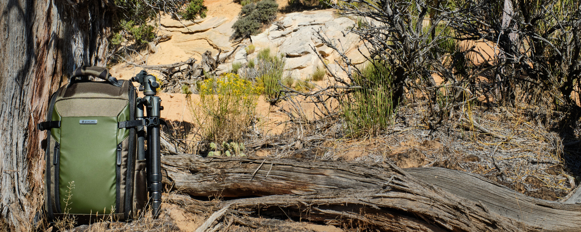 Traditional Backpack