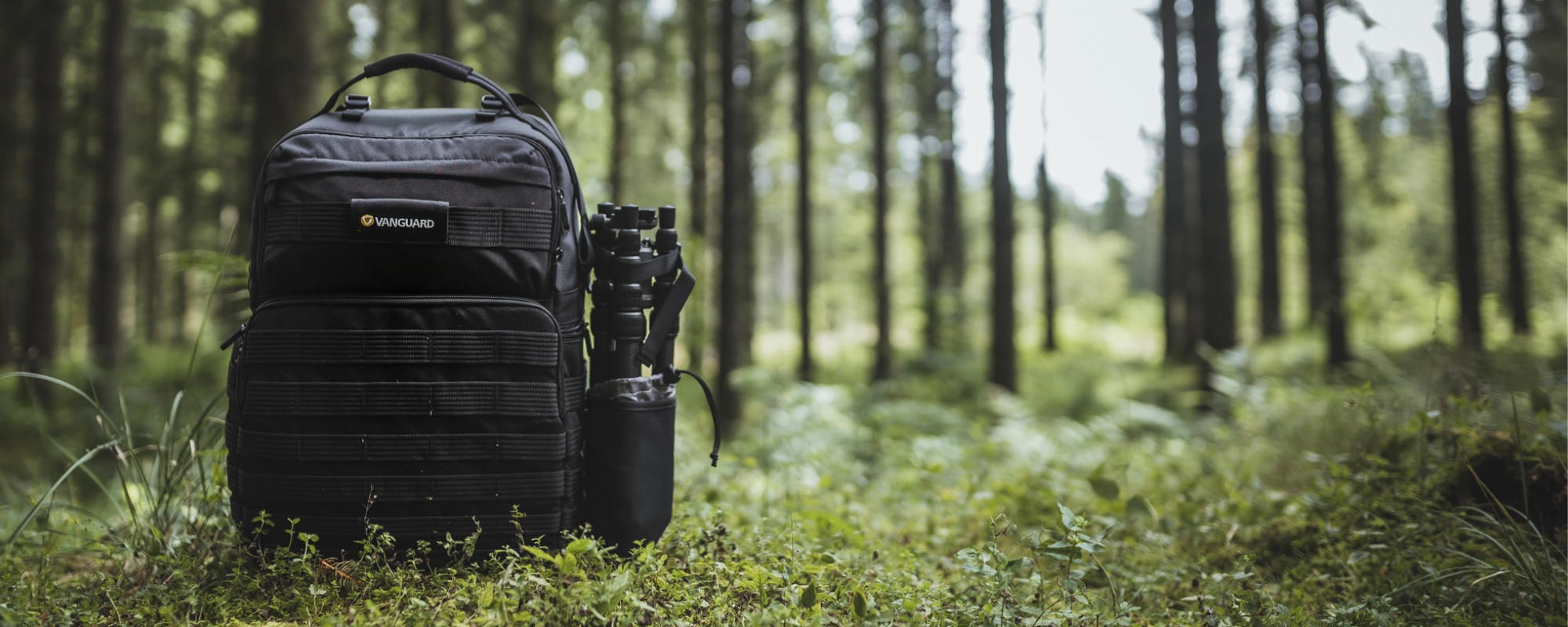 Bags for spotting scopes