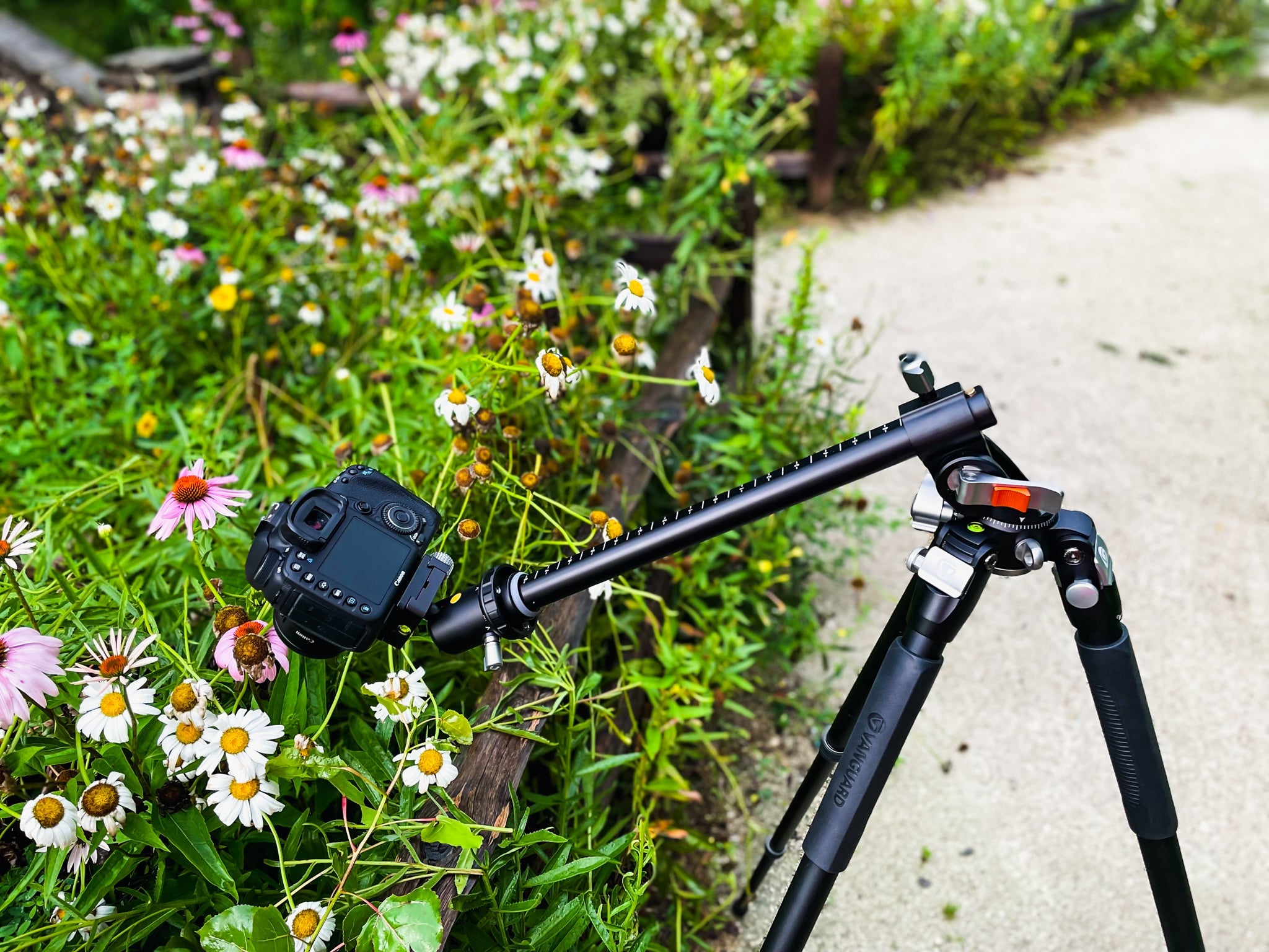 VEO 3+ 26mm traditional ball head