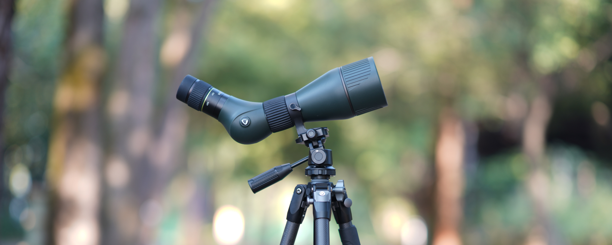 Gift Guide - Birding