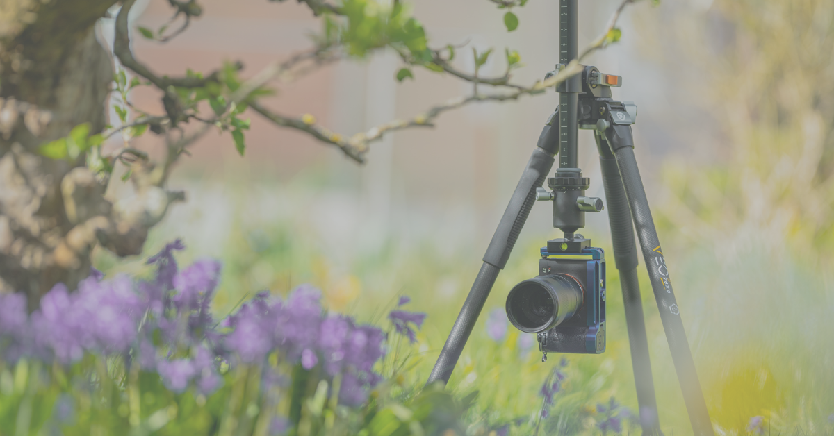 Save £100 this spring with VEO 3+ and VEO 3T+ Tripods