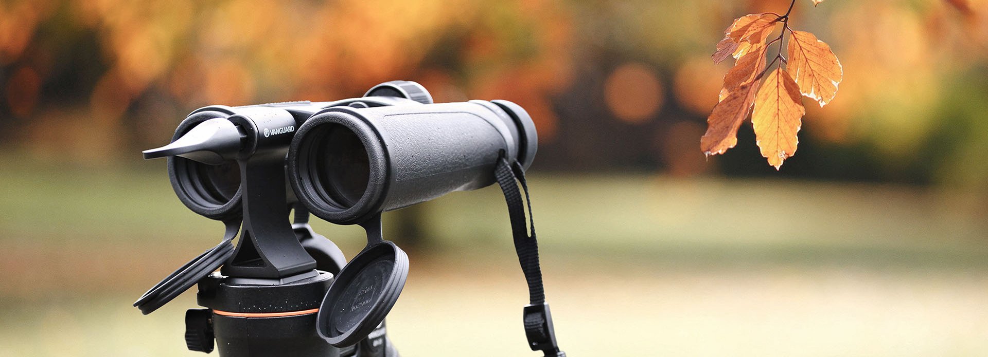 Vanguard Accessories