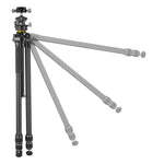 Alta Pro 3 263CLBPS Carbon tripod with Ball Head - 20kg Capacity