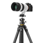 Alta Pro 3 303CLBPS Carbon tripod with Ball Head - 25kg Capacity