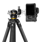 Alta Pro 3 303CLBPS Carbon tripod with Ball Head - 25kg Capacity