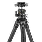 Alta Pro 3X 264CLBPS carbon tripod with fixed base - 20kg load capacity