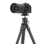 Alta Pro 3X 264CLBPS carbon tripod with fixed base - 20kg load capacity