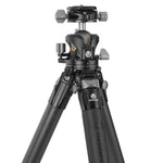Alta Pro 3X 304CLBPS Tripods with Head LBP-55S ball tripod head