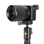 BH-45 Traditional Ball Head - 33mm Base